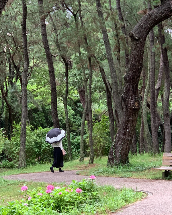 Hanaのポートレート写真